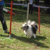 foire-haricots 2011-09-17et18